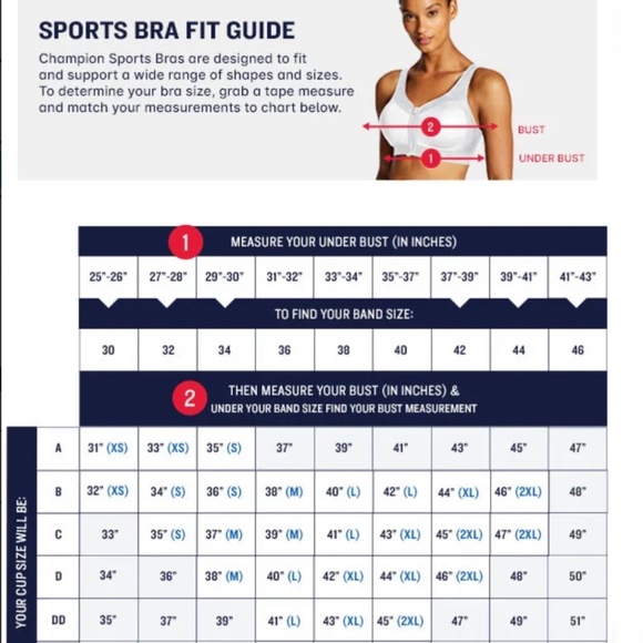 Champion Women's Medium Support Sports Bra Size M L XL 2XL - Picture 5 of 16
